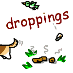 pPCXg droppings