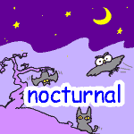 pPCXg nocturnal