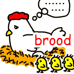 英単語イラスト brood