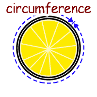 circumference の意味 英語イラスト
