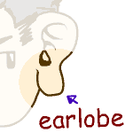 英単語イラスト earlobe