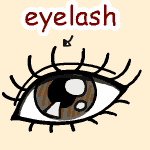 英単語イラスト eyelash