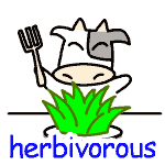 英単語イラスト herbivorous