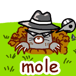 英単語イラスト mole