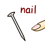 英単語イラスト nail