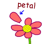 英単語イラスト petal