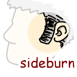 英単語イラスト sideburn
