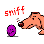 sniff の意味