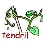 tendril