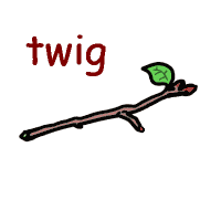 twig の意味 英語イラスト